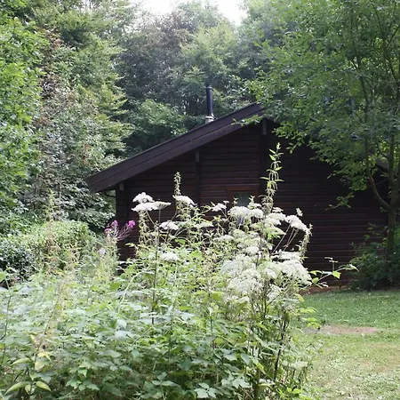 Bungalow; Haus 111 Twistesee, באד ארסולן