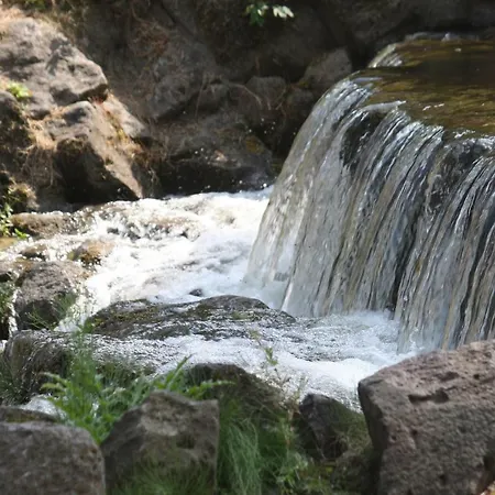 Ferienhaus Bungalow; Haus 111 Twistesee, *