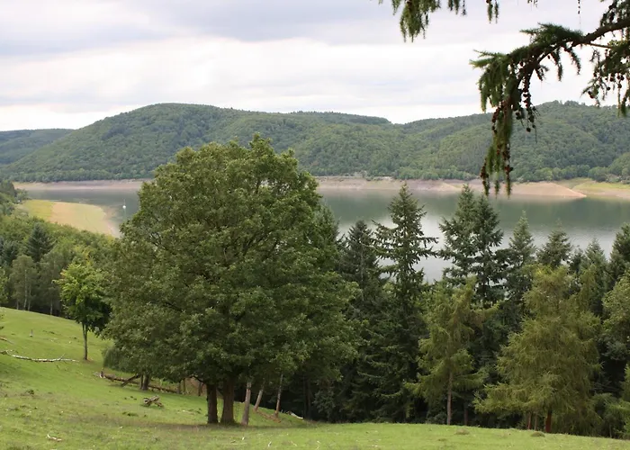 Vakantiehuis Bungalow; Haus 111 Twistesee, *