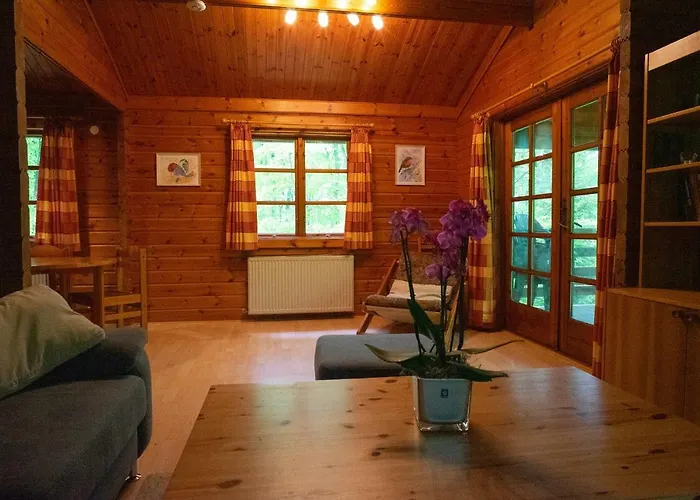 Bungalow; Haus 111 Twistesee, Vakantiehuis *